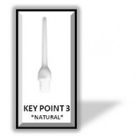 HARROWS - KEY POINT - 3